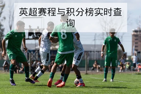 中超积分榜实时更新与降级形势解读